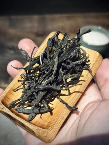 Hoàng trà cổ thụ