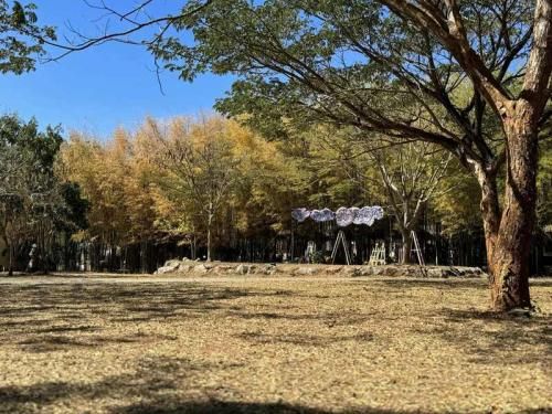 414413628 7637157932964364 5299464865441020526 n